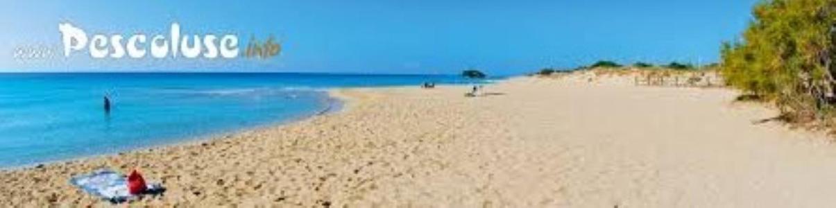 Costa Doro Hotel Salve